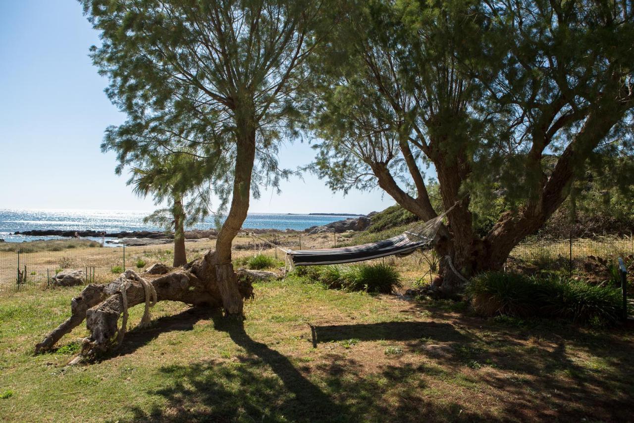 Mera Beachfront House - Falasarna Dış mekan fotoğraf