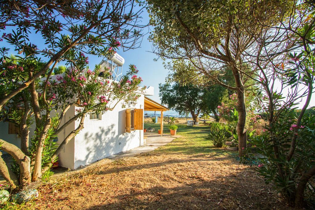 Mera Beachfront House - Falasarna Dış mekan fotoğraf
